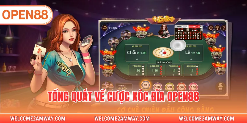Tổng quát về cược xóc đĩa OPEN88